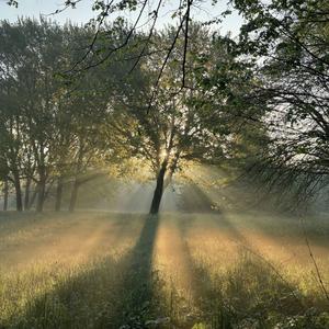 Just Let the Miles Pass