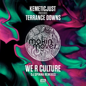 We R Culture [feat. Terrance Downs] (DJ Spinna Galactic Soul Instrumental)