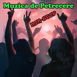 Câte birturi sunt pe drum