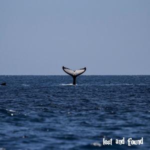 lost and found (鲸)