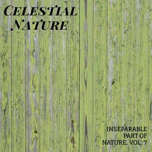 Celestial Nature - Inseparable Part of Nature, Vol. 7
