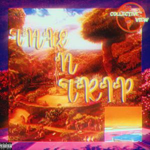 TAKE A TRIP (feat. CV ALEXX, Starboy Uni & VAN KHAN) (Explicit)