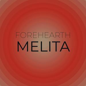 Forehearth Melita