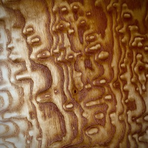 Trapped in the Amber of This Moment