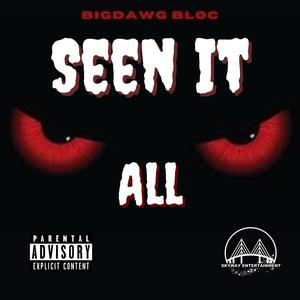 Seen it All (Explicit)