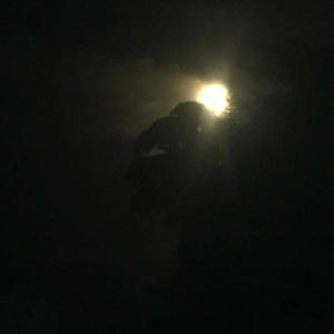 Absence (feat. K-kap) (Explicit)