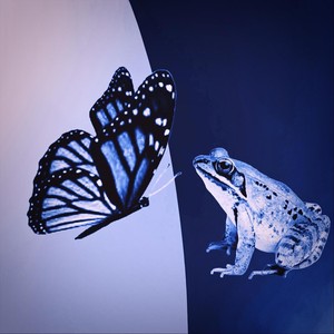 Our Love Is Nothing New