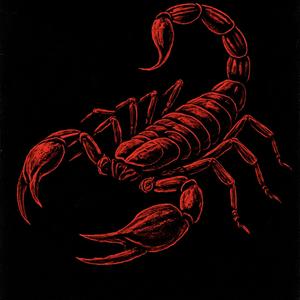 SPONGEBOBBLE (feat. Rico Xyy) (Explicit)