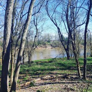 Love Is Like An Injury (Explicit)