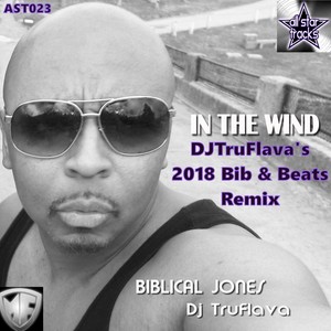 In The Wind 2018 (Bib & Beats Mix)