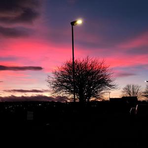 Stargazing (feat. Thraxxplugg)