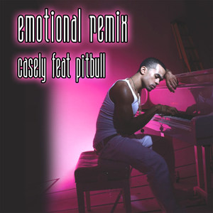 Emotional Pitbull Remix