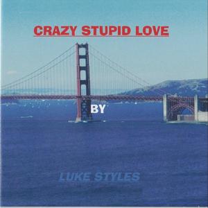 Crazy Stupid Love