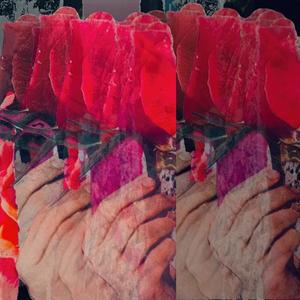 Holding Roses (feat. Uneak Music)