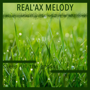 Real'ax Melody - St. Augustine Sleep