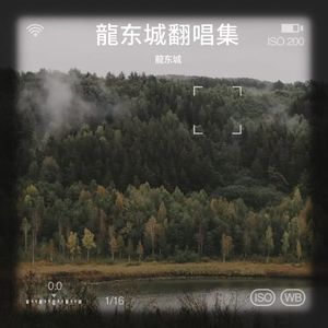 讨厌红楼梦-龍东城