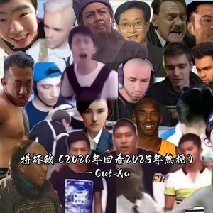 拼坏歌 (2026年回看2025年热梗)