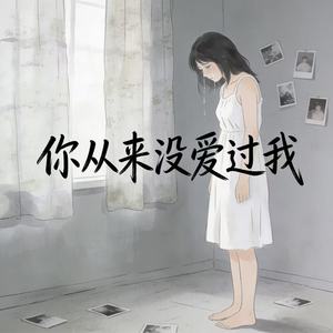 你从来没有爱过我 (深情女版)