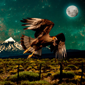 Rapaces (Explicit)