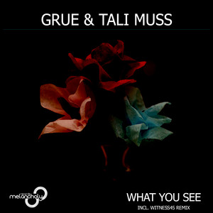 What You See (Original Mix)