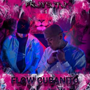 PROYECTO 1 (feat. Flow Cubanito)