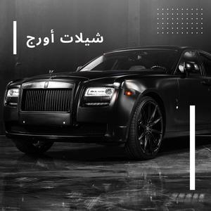 شيلة خبروني يا طروش تمرونه