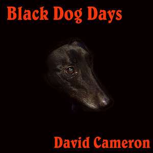 Black Dog Days