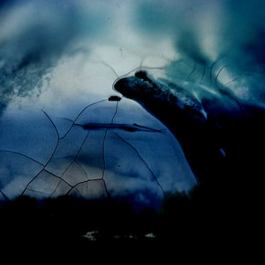 Severance