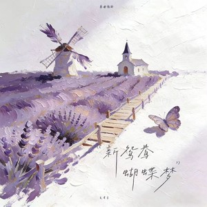 新鸳鸯蝴蝶梦 (R&B版)