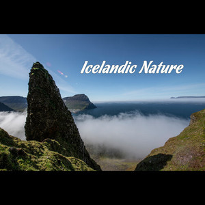 Icelandic Nature