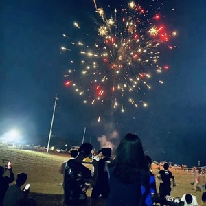 现在我是一只海鸟