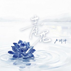 青花 (动感版)封面