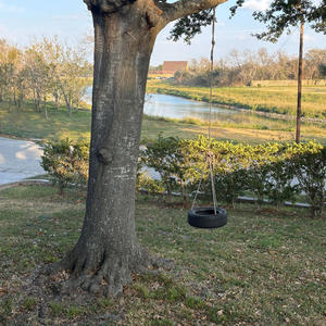 Blossoms In The Wind (feat. Pedro Ahumada)