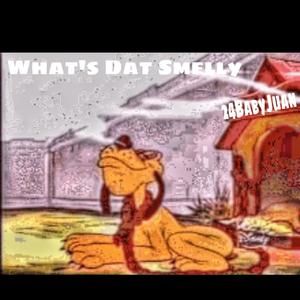 Whats Dat Smelly (Explicit)