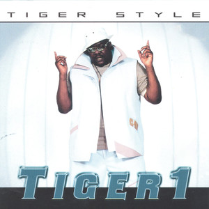 Tiger Style