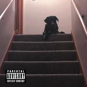 **** The Industry (feat. Skittle) (Explicit)