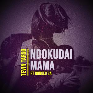 Ndokudai Mama (feat. Bonolo SA)