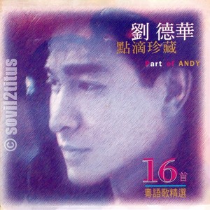 真我的风采 (R&B Version)封面