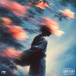 LES PERLES ET LES DIAMANTS (Explicit)