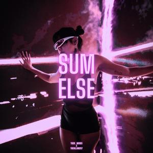 SUM ELSE (feat. Tiger_Modes)