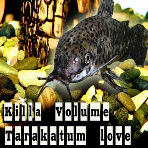 Tarakatum Love - Single