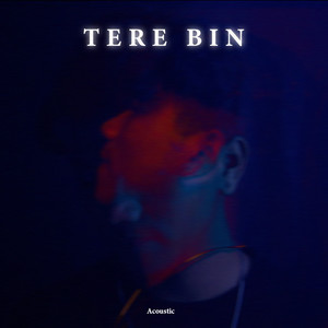 Tere Bin (Acoustic)