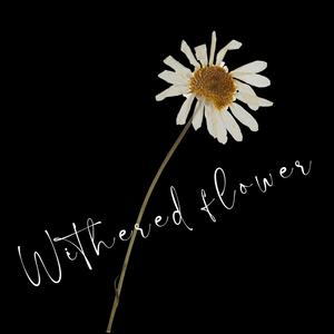 Withered flower Ins