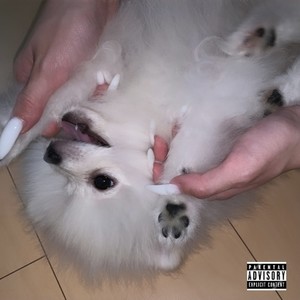 HAKU (Explicit)