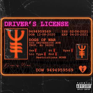 Driver's License (Explicit)