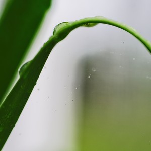 Everlong Rendition (Instrumental Version)