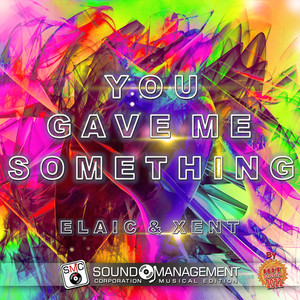 You Gave Me Something (Radio Edit)