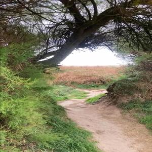 when the sky breathes slow