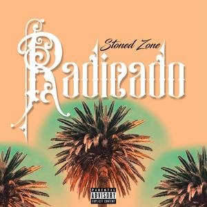 Radicado (Explicit)