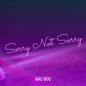 Sorry Not Sorry (Explicit)